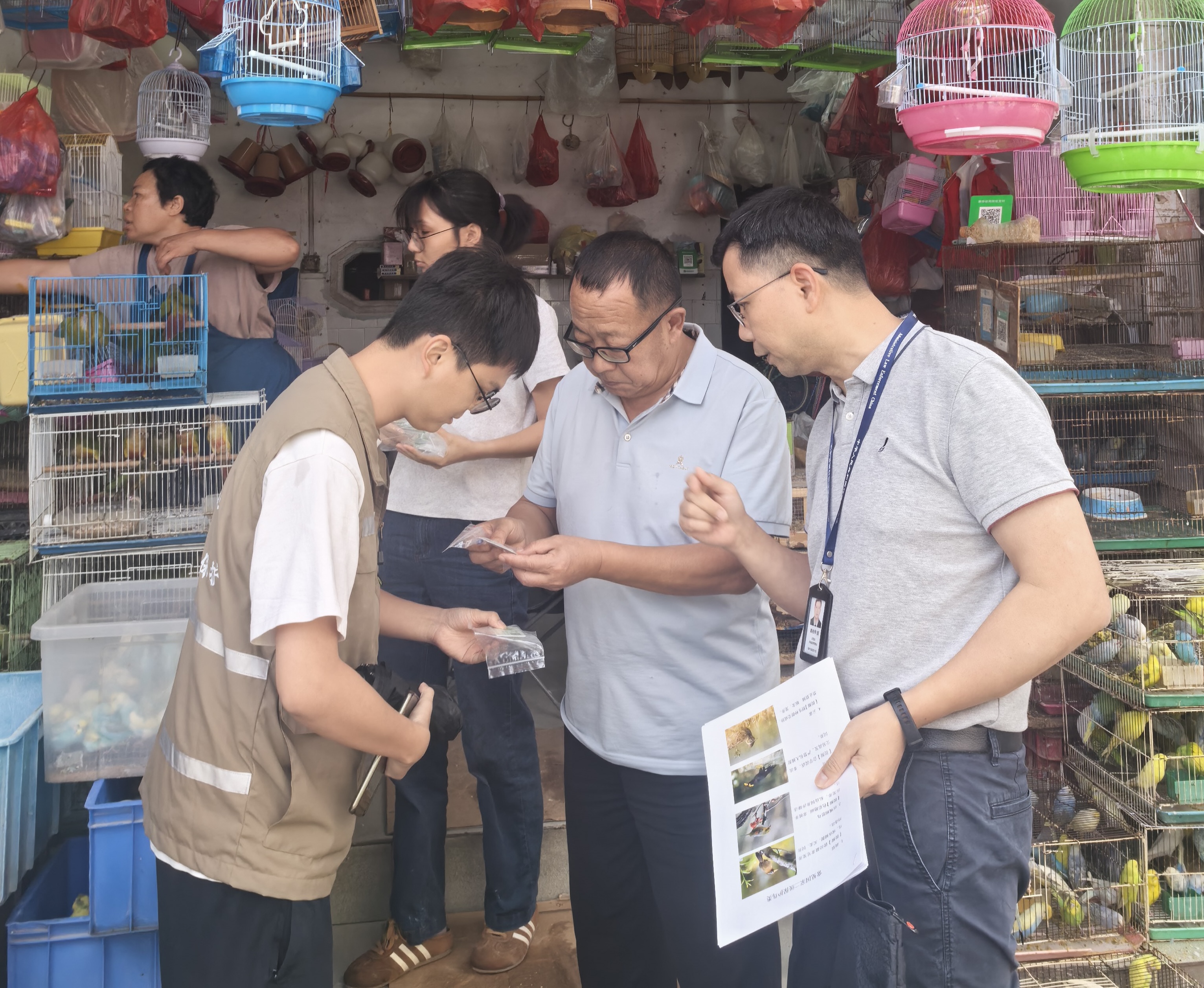 市局李峙二级调研员到莞城街道开展鸟类等野生动物联合检查